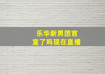 乐华新男团官宣了吗现在直播