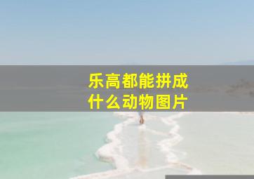 乐高都能拼成什么动物图片