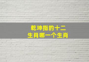 乾坤指的十二生肖哪一个生肖