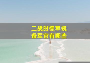 二战时德军装备军官有哪些