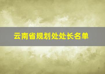 云南省规划处处长名单