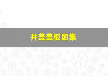 井盖盖板图集