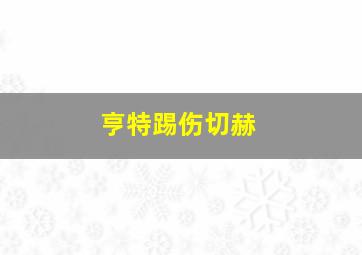 亨特踢伤切赫