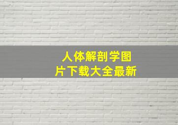 人体解剖学图片下载大全最新