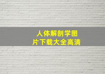 人体解剖学图片下载大全高清