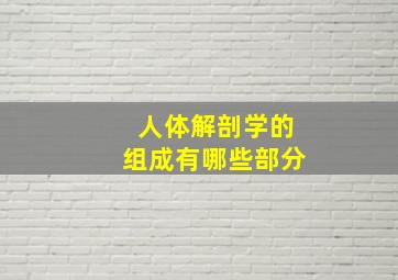 人体解剖学的组成有哪些部分