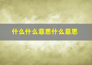 什么什么意思什么意思