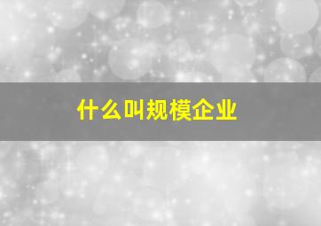 什么叫规模企业