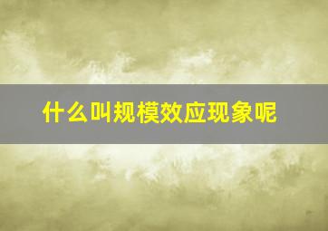 什么叫规模效应现象呢