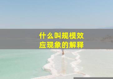 什么叫规模效应现象的解释