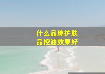 什么品牌护肤品控油效果好