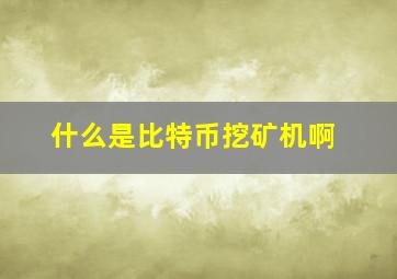 什么是比特币挖矿机啊