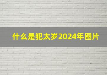 什么是犯太岁2024年图片