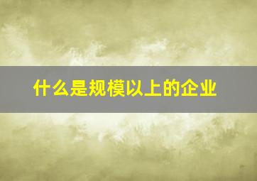 什么是规模以上的企业