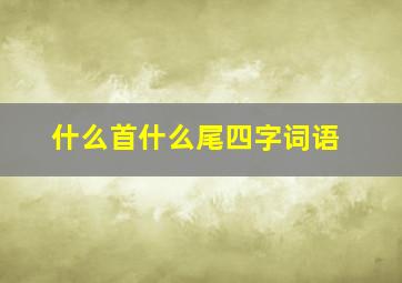 什么首什么尾四字词语