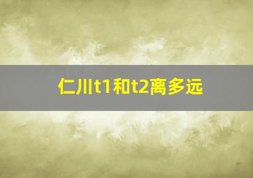 仁川t1和t2离多远