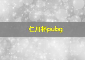 仁川杯pubg