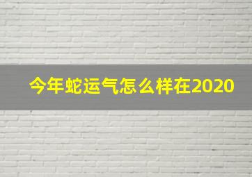 今年蛇运气怎么样在2020