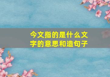 今文指的是什么文字的意思和造句子