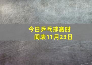 今日乒乓球赛时间表11月23日