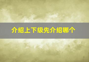 介绍上下级先介绍哪个