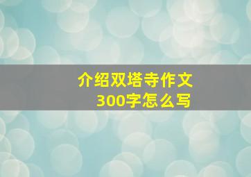 介绍双塔寺作文300字怎么写