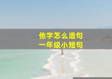 他字怎么造句一年级小短句