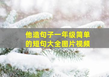 他造句子一年级简单的短句大全图片视频