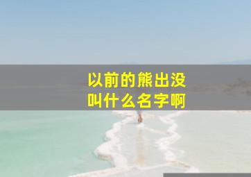 以前的熊出没叫什么名字啊