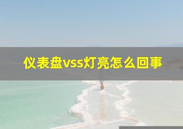 仪表盘vss灯亮怎么回事