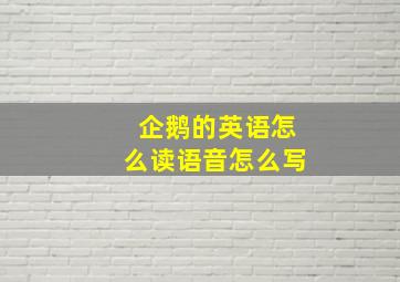 企鹅的英语怎么读语音怎么写