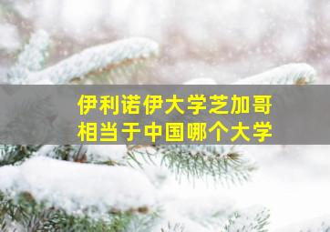 伊利诺伊大学芝加哥相当于中国哪个大学