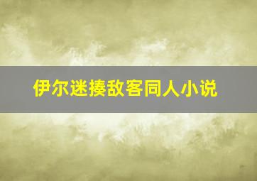 伊尔迷揍敌客同人小说