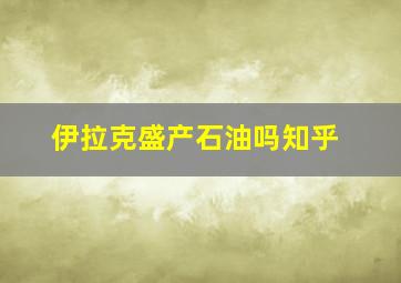 伊拉克盛产石油吗知乎