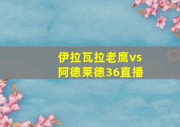 伊拉瓦拉老鹰vs阿德莱德36直播