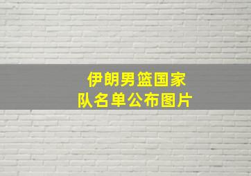 伊朗男篮国家队名单公布图片