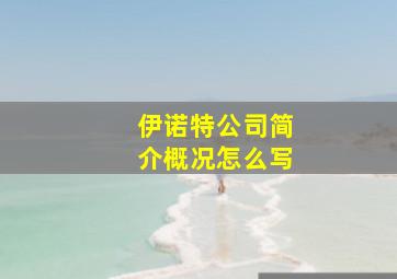 伊诺特公司简介概况怎么写