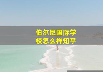 伯尔尼国际学校怎么样知乎