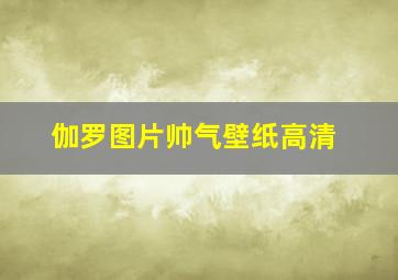 伽罗图片帅气壁纸高清