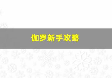 伽罗新手攻略