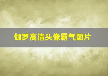 伽罗高清头像霸气图片