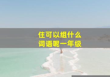 住可以组什么词语呢一年级