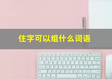 住字可以组什么词语