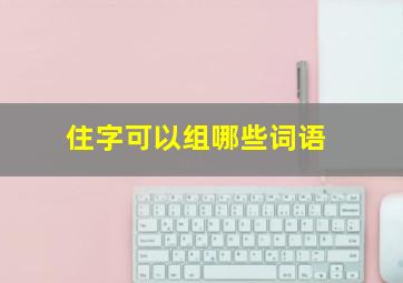 住字可以组哪些词语