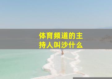 体育频道的主持人叫沙什么