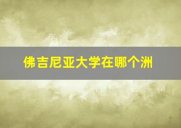 佛吉尼亚大学在哪个洲