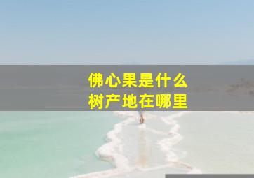 佛心果是什么树产地在哪里