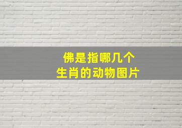 佛是指哪几个生肖的动物图片