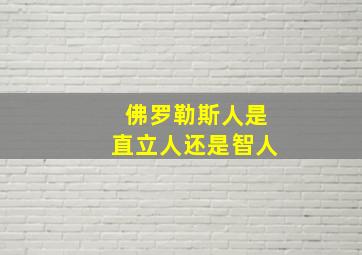 佛罗勒斯人是直立人还是智人