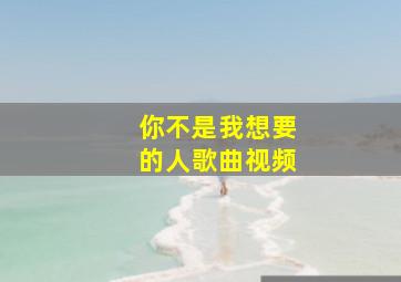 你不是我想要的人歌曲视频